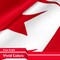 Tunisia Tunisian Flag 3x5 Ft 2-Pack 150D Printed Polyester By G128
